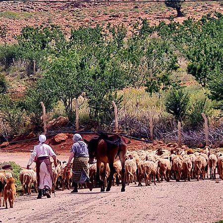 Ferme D"Hote Lala Fatima Ain Leuh Exterior foto